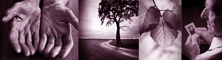 Cornerstone Care Banner Images